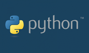 python logo