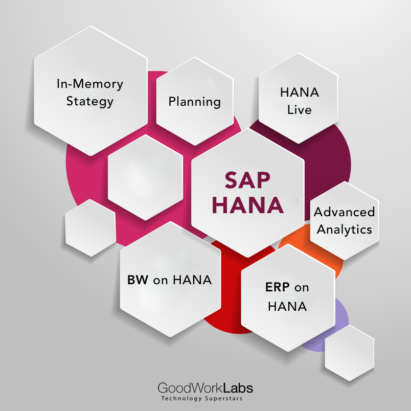 SAP HANA software developers